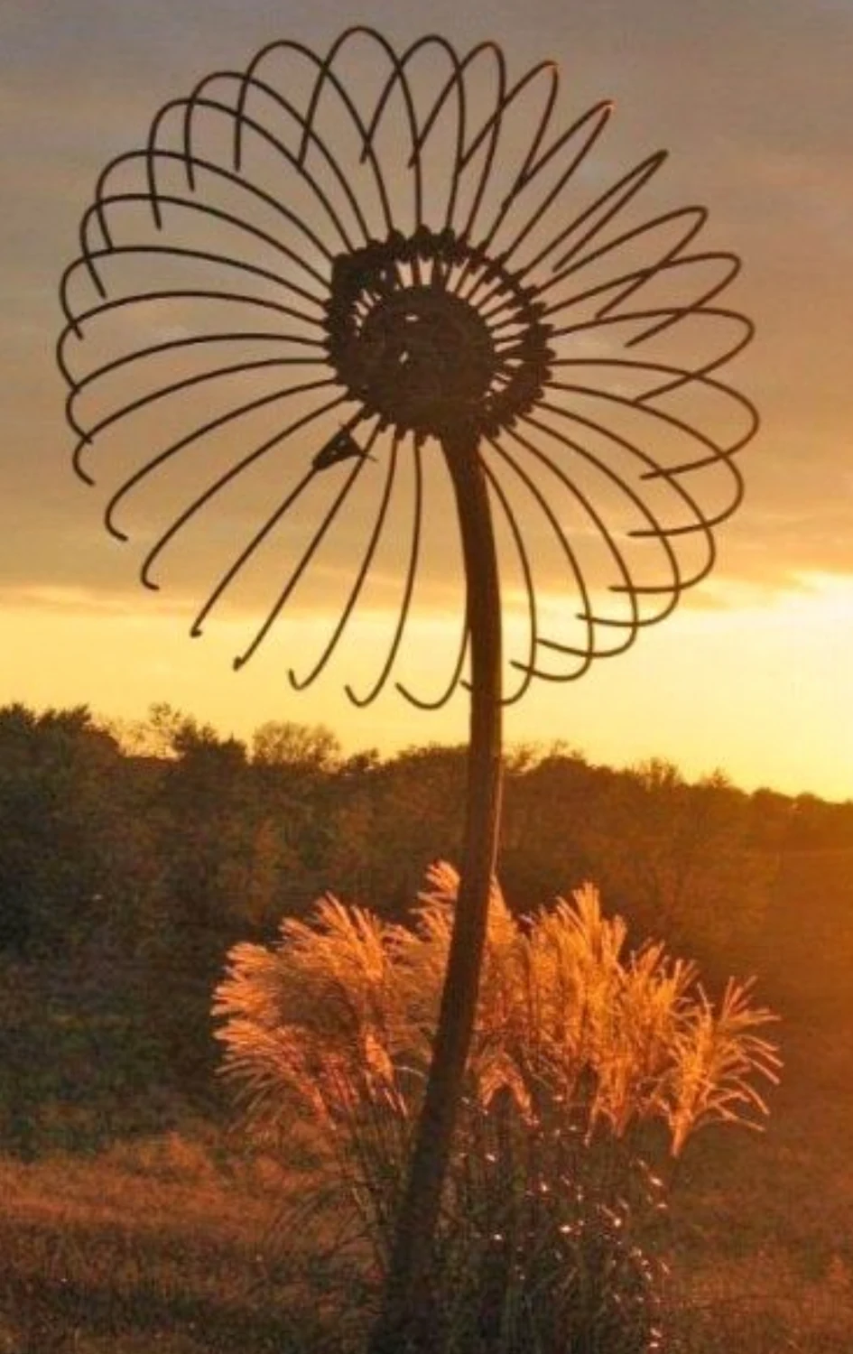 Large wire flower silhouette against a warm sunset